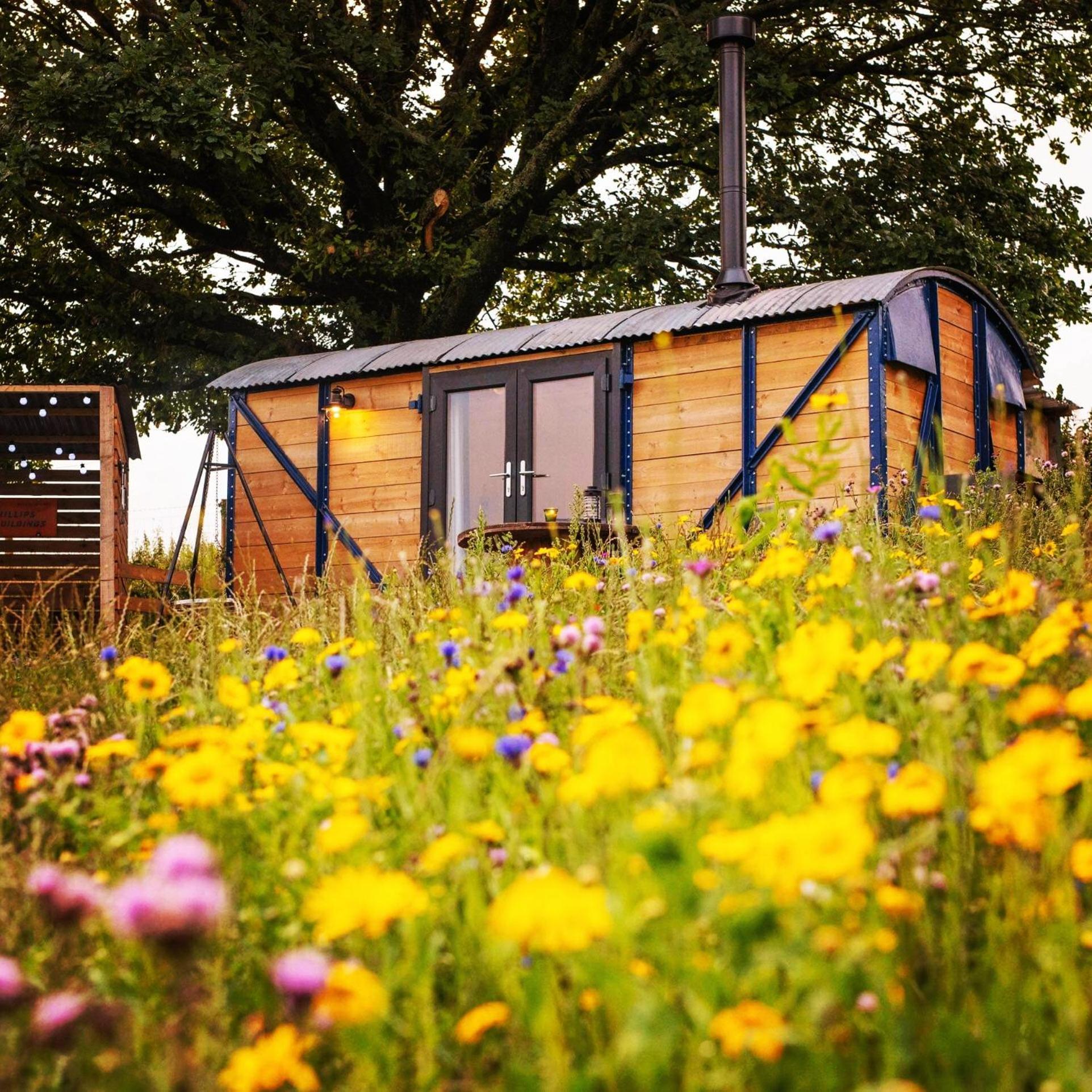 Under The Oak Glamping 호텔 케어필리 외부 사진